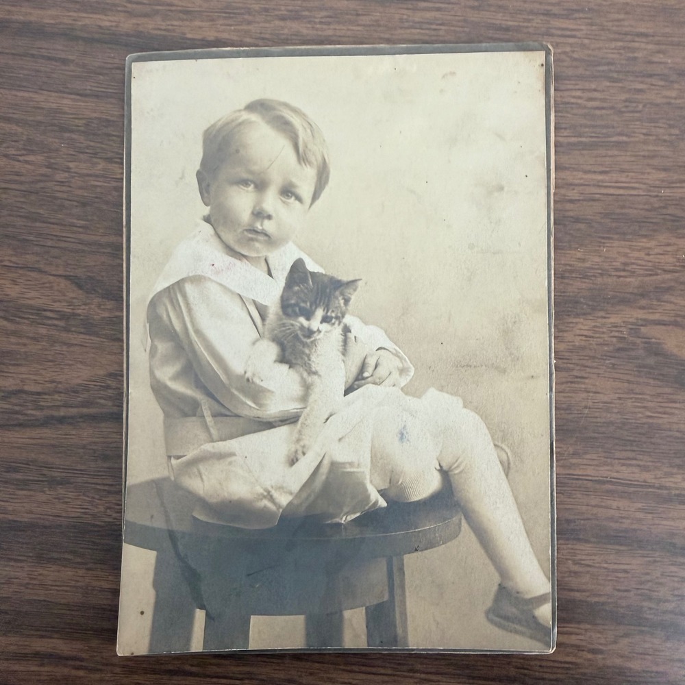 Antique Sepia Photo Boy Holding Kitten Sailor Collar Vintage Portrait